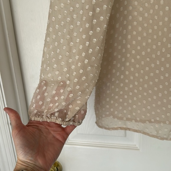 Daniel Rainn blouse size small - Picture 3 of 5